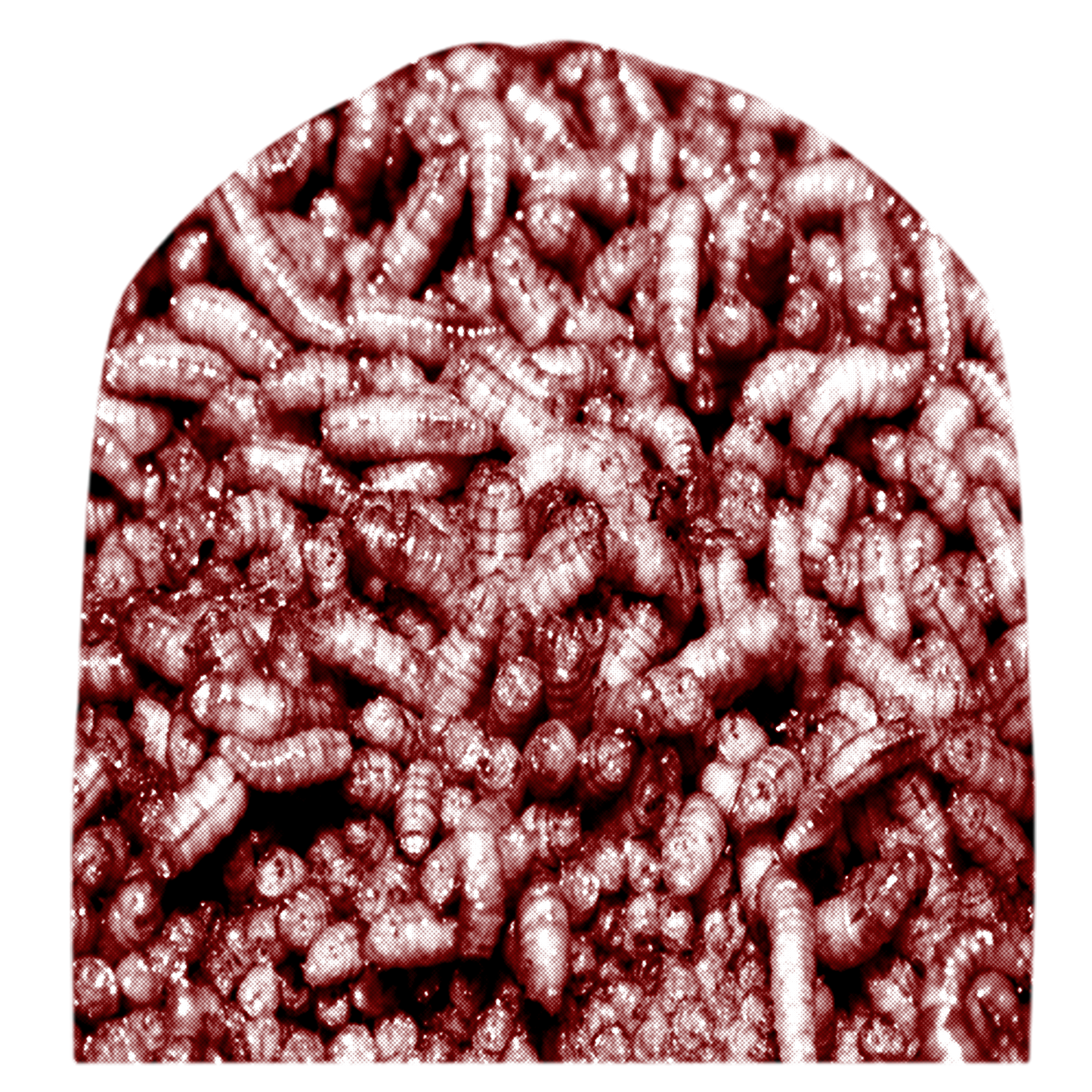 maggot beanie