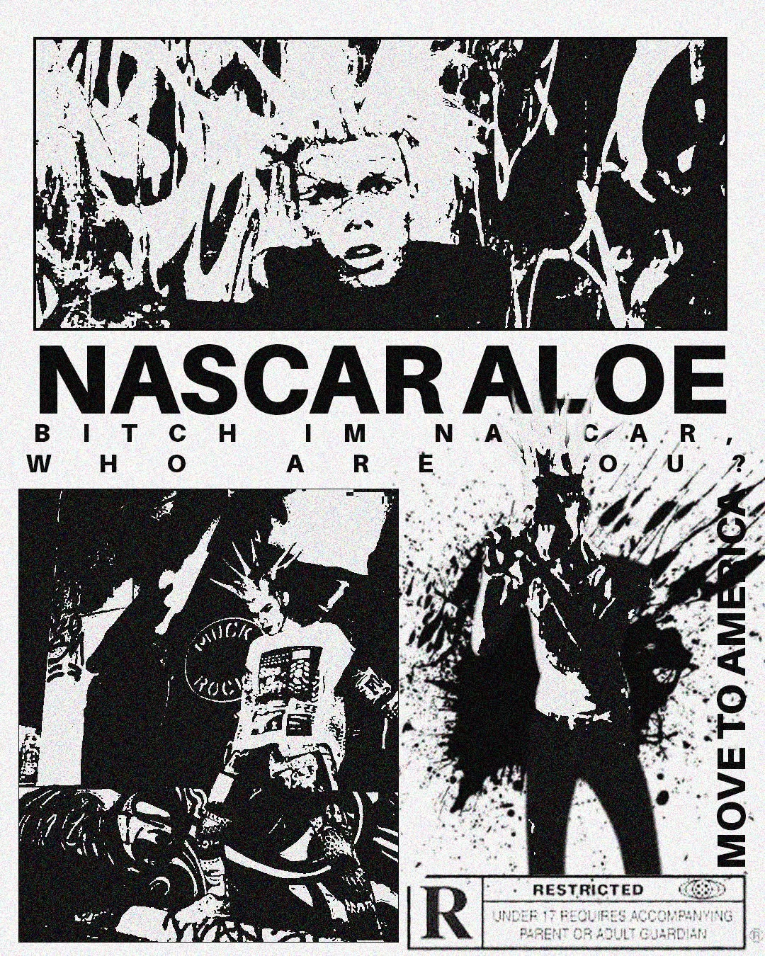 nascar aloe poster